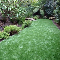 Artificial Grass Bark Ranch, Colorado Landscape Photos, Backyard Makeover