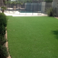 Artificial Grass Carpet Fruitvale, Colorado Landscape Design, Backyard Landscape Ideas