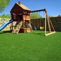 Artificial Grass Carpet West Pleasant View, Colorado Lawn And Garden, Backyard