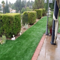 Artificial Grass Installation Evans, Colorado Paver Patio, Backyard Garden Ideas