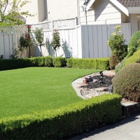 Artificial Lawn Genesee, Colorado Roof Top, Front Yard Ideas