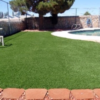 Artificial Lawn Lochbuie, Colorado Cat Playground, Pool Designs