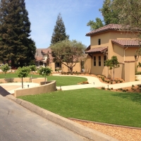 Artificial Lawn Penrose, Colorado Backyard Deck Ideas, Front Yard