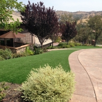 Artificial Lawn Pueblo West, Colorado Landscape Ideas, Front Yard Landscaping Ideas