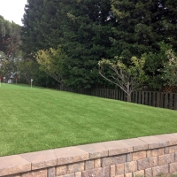 Artificial Lawn Williamsburg, Colorado Putting Green Grass, Backyard Landscaping