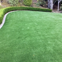 Artificial Turf Chacra, Colorado Gardeners, Backyard Landscape Ideas