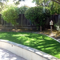 Artificial Turf Cost Cheraw, Colorado Home And Garden, Commercial Landscape