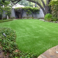 Artificial Turf Cost Rocky Ford, Colorado Lawn And Landscape, Backyard