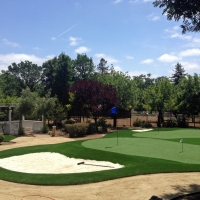 Artificial Turf Cost Woodland Park, Colorado Gardeners, Front Yard