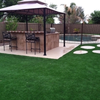 Artificial Turf Ponderosa Park, Colorado Garden Ideas, Backyard Ideas