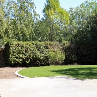 Artificial Turf Silverthorne, Colorado Design Ideas, Backyard Landscaping