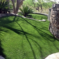 Best Artificial Grass Dotsero, Colorado Cat Grass