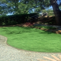 Best Artificial Grass Rico, Colorado Roof Top, Backyard Ideas