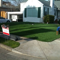 Best Artificial Grass Rocky Ford, Colorado Roof Top, Front Yard Design