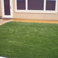 Fake Grass Altona, Colorado Garden Ideas, Backyard