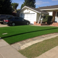 Fake Grass Beulah Valley, Colorado Garden Ideas, Front Yard Landscaping Ideas