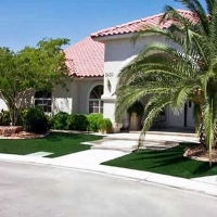 Fake Grass Carpet Palmer Lake, Colorado Paver Patio, Front Yard