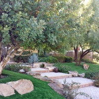 Fake Grass Carpet Ridgway, Colorado Landscape Design, Backyard Design