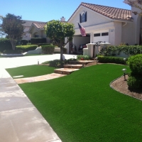 Fake Grass Carpet Vineland, Colorado Home And Garden, Front Yard Ideas