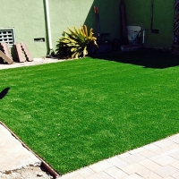 Fake Grass Jamestown, Colorado Backyard Playground, Grass for Dogs