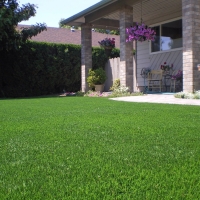 Fake Grass La Veta, Colorado Landscape Photos, Front Yard Design