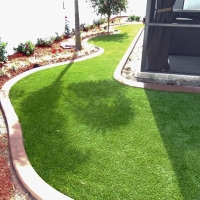 Fake Grass Orchard City, Colorado Lawns, Backyard Ideas