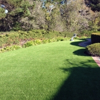 Fake Grass Peetz, Colorado Lawn And Garden, Front Yard Ideas