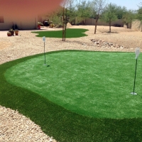 Fake Grass Vail, Colorado Indoor Putting Green, Small Backyard Ideas