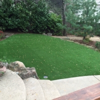 Fake Lawn Iliff, Colorado Landscaping, Backyard Landscape Ideas