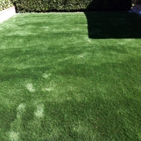 Fake Turf Bethune, Colorado Hotel For Dogs, Backyard Design