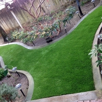 Fake Turf Blende, Colorado Roof Top, Backyards