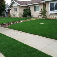 Fake Turf Gleneagle, Colorado Home And Garden, Front Yard Landscaping Ideas