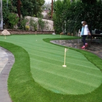 Fake Turf Lone Tree, Colorado Landscape Ideas, Backyard Design