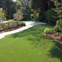 Fake Turf Rockvale, Colorado Lawn And Landscape, Backyard Design