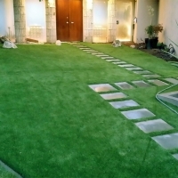 Fake Turf Windsor, Colorado Landscape Design, Pavers