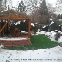 Faux Grass Bow Mar, Colorado Garden Ideas, Backyards