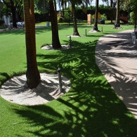 Faux Grass Laporte, Colorado Dog Park, Commercial Landscape