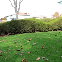 Faux Grass Sedalia, Colorado Landscaping Business, Front Yard Landscape Ideas