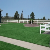 Grass Carpet Applewood, Colorado Landscaping Business, Front Yard