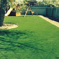 Grass Carpet Dove Valley, Colorado Athletic Playground, Backyard Ideas