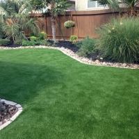 Grass Carpet Lone Tree, Colorado Dog Park, Backyard Landscaping Ideas