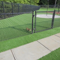 Grass Installation Beulah Valley, Colorado Lacrosse Playground, Parks