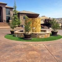 Grass Turf Poncha Springs, Colorado Roof Top, Front Yard Landscape Ideas