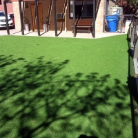 Grass Turf Woody Creek, Colorado Backyard Playground, Backyard Designs