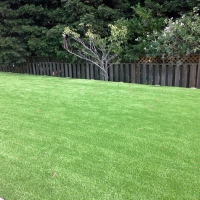 Green Lawn Blende, Colorado Lawn And Landscape, Backyard Landscape Ideas