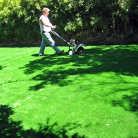 Green Lawn Colorado City, Colorado Landscape Photos, Backyard Garden Ideas