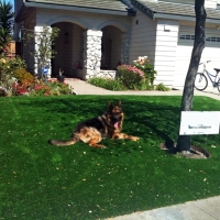 Green Lawn Grand View Estates, Colorado Landscape Design, Small Front Yard Landscaping