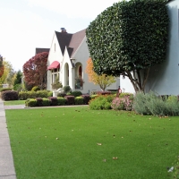 Green Lawn Strasburg, Colorado Lawn And Garden, Front Yard Design