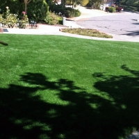 Installing Artificial Grass New Castle, Colorado Design Ideas, Front Yard Design