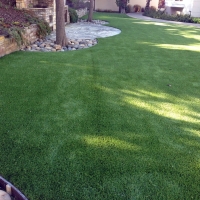 Outdoor Carpet Blanca, Colorado Dog Running, Backyards